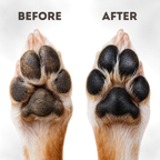 Nose & Paw Repair Balm